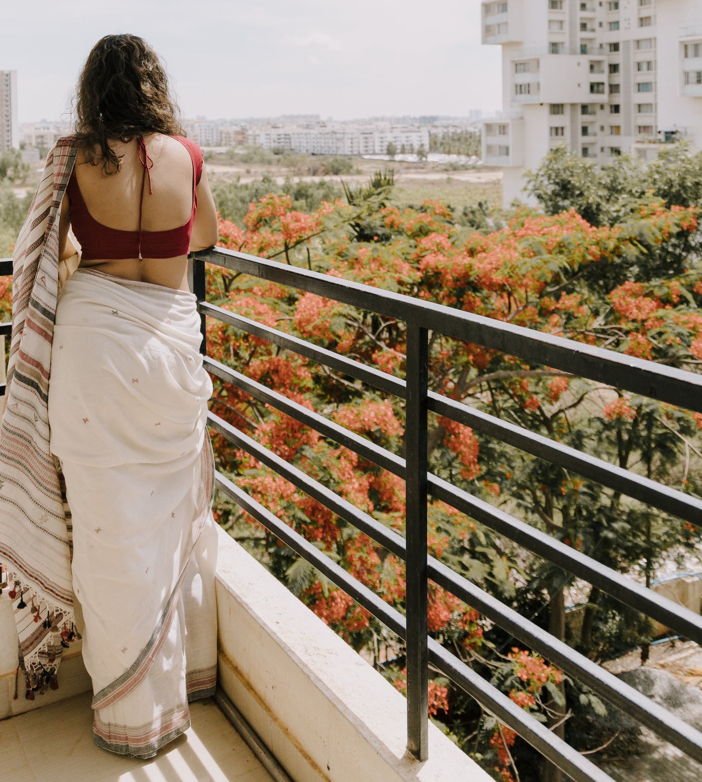 BHUJODI KALA ORGANIC COTTON SAREE