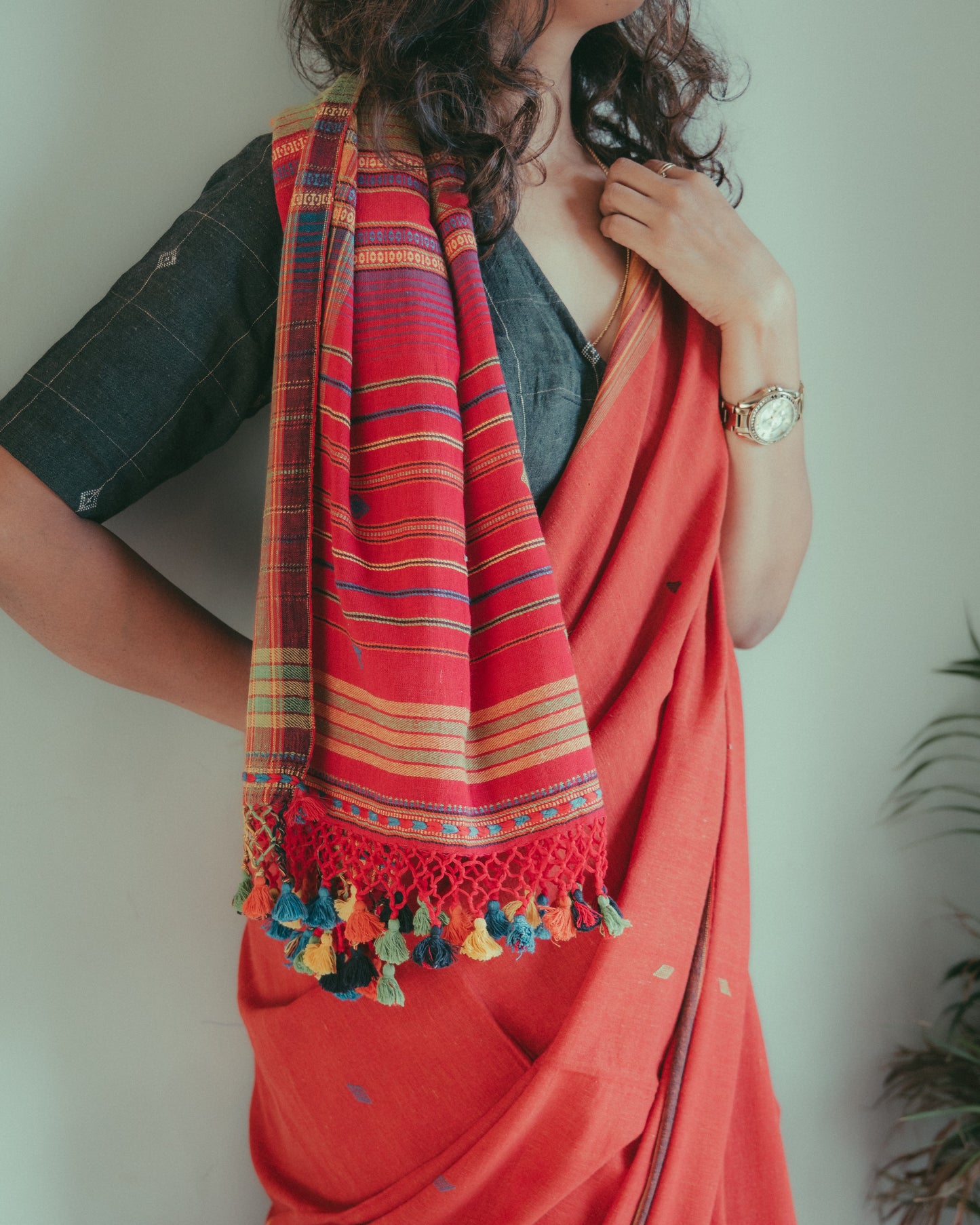 BHUJODI KALA ORGANIC COTTON SAREE