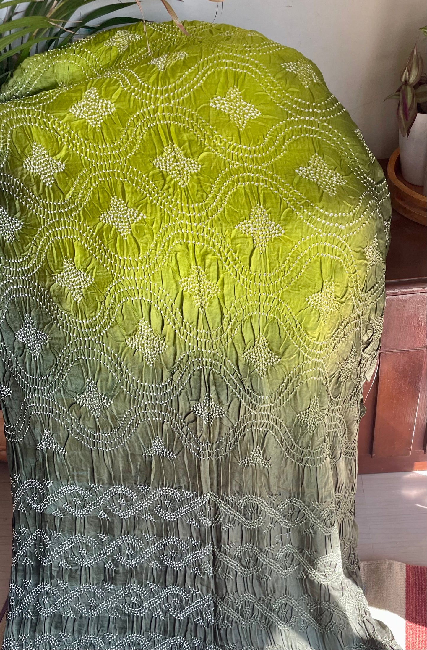 GAJII SILK RAI BANDHINI SAREE -Ombré