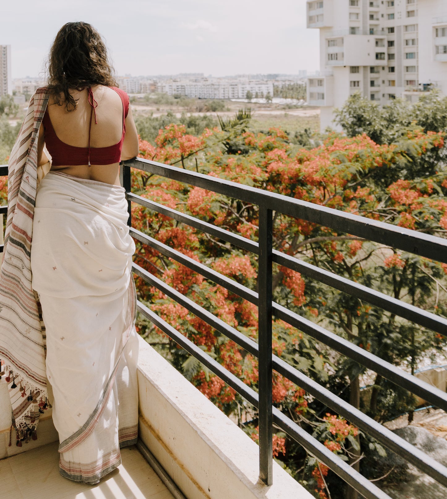 BHUJODI KALA ORGANIC COTTON SAREE